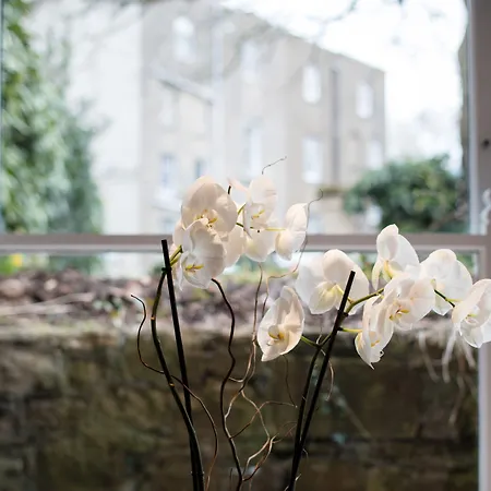 Beech House - Urban דירה