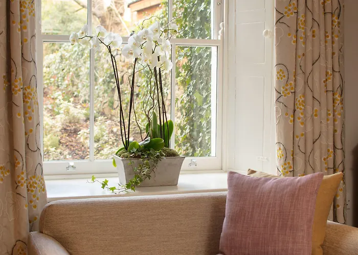 Beech House - Urban * 브리스틀